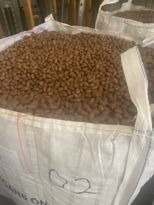 Pecans In Shell Totes ~ Orchard Grown A Southern Tradition USA