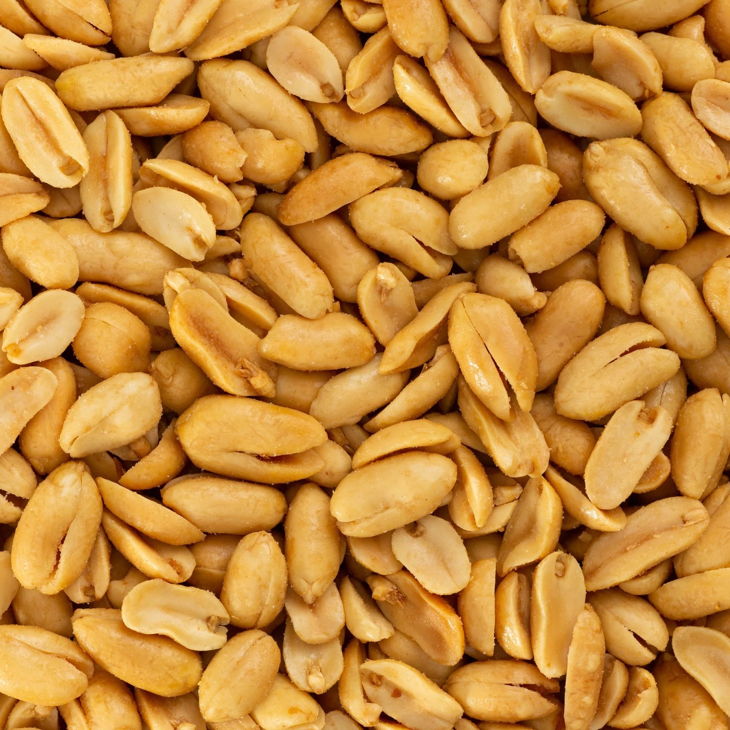 Big John's Sea Salt Gourmet Peanuts