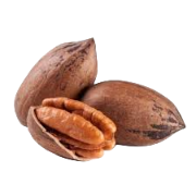 Pecans Out Of Shell Bags ~ Pecans Orchard Grown A Southern Tradition USA