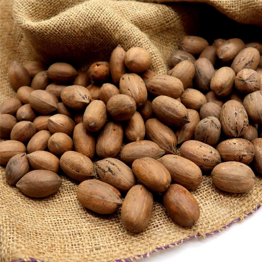 Pecans In Shell Bags ~ Orchard Grown A Southern Tradition USA